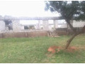 177x70m-land-for-sale-in-foxdale-with-two-properties-small-8