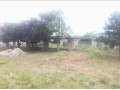 177x70m-land-for-sale-in-foxdale-with-two-properties-small-5
