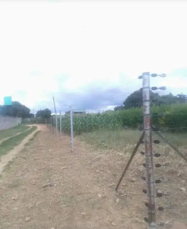 177x70m-land-for-sale-in-foxdale-with-two-properties-big-1