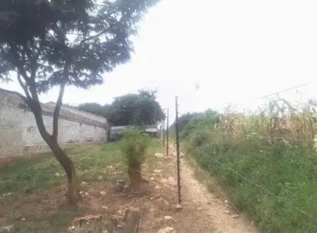 177x70m-land-for-sale-in-foxdale-with-two-properties-big-2