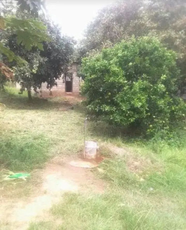 177x70m-land-for-sale-in-foxdale-with-two-properties-big-6