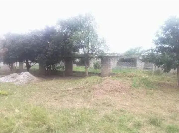 177x70m-land-for-sale-in-foxdale-with-two-properties-big-5