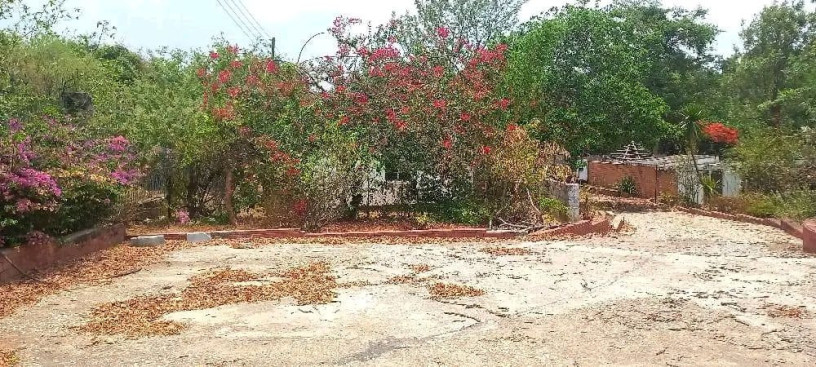 olympia-park-home-with-office-and-4-bedrooms-big-4