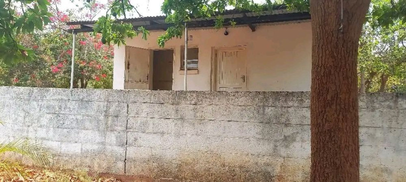 olympia-park-home-with-office-and-4-bedrooms-big-5