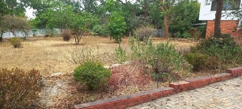 olympia-park-home-with-office-and-4-bedrooms-big-1