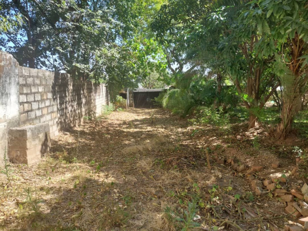 5-bedroom-home-and-cottage-for-sale-in-olympia-big-4