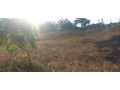 leopards-hill-land-and-portions-for-sale-small-2