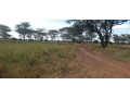 leopards-hill-land-and-portions-for-sale-small-1