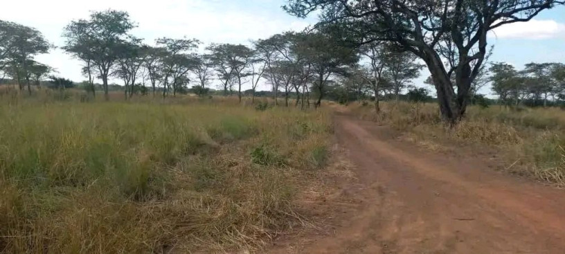 leopards-hill-land-and-portions-for-sale-big-1