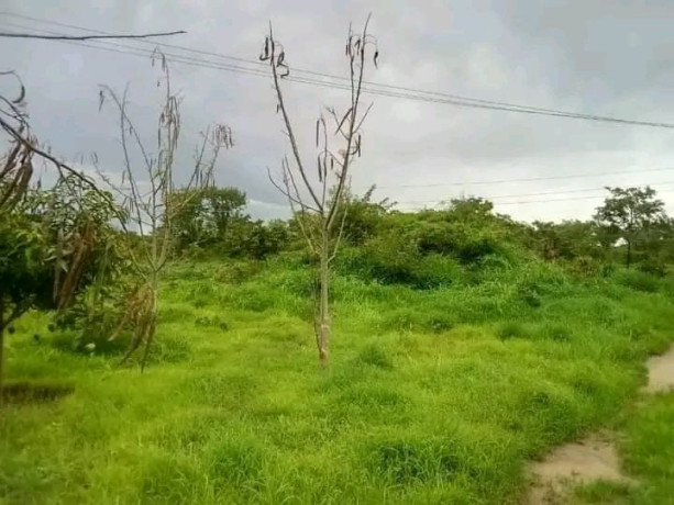 farm-land-for-sale-two-separate-properties-big-0