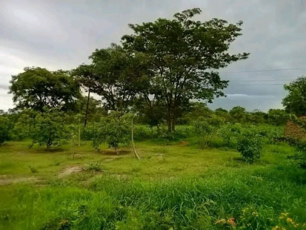 farm-land-for-sale-two-separate-properties-big-1