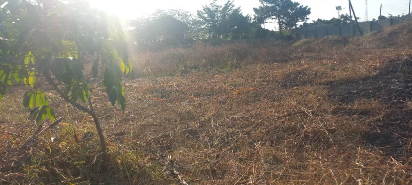 roma-plot-for-sale-big-3