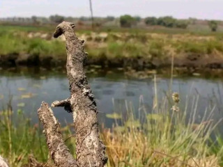 vast-commercial-land-in-mkushi-90-hectares