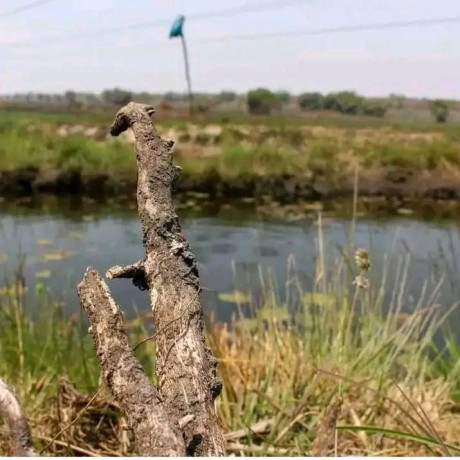 vast-commercial-land-in-mkushi-90-hectares-big-0