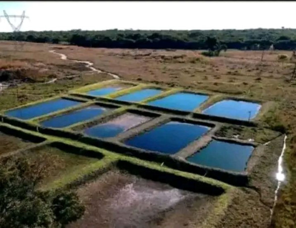 vast-commercial-land-in-mkushi-90-hectares-big-5