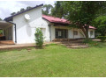 woodlands-4-bedroom-house-for-rent-small-7