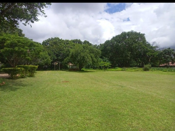 woodlands-4-bedroom-house-for-rent-big-9