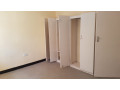 2-bed-flat-for-rent-along-alick-nkhata-road-small-6