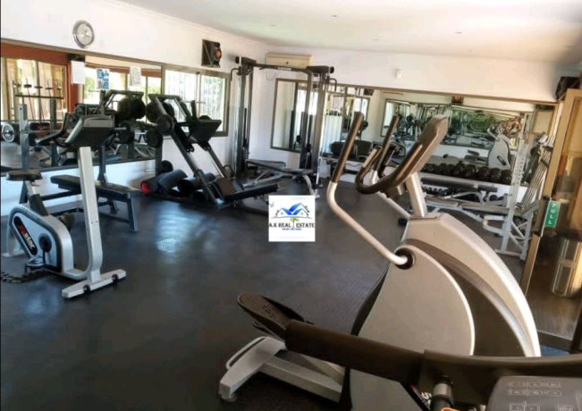 4-bedroom-stand-alone-house-for-rent-in-green-park-big-3