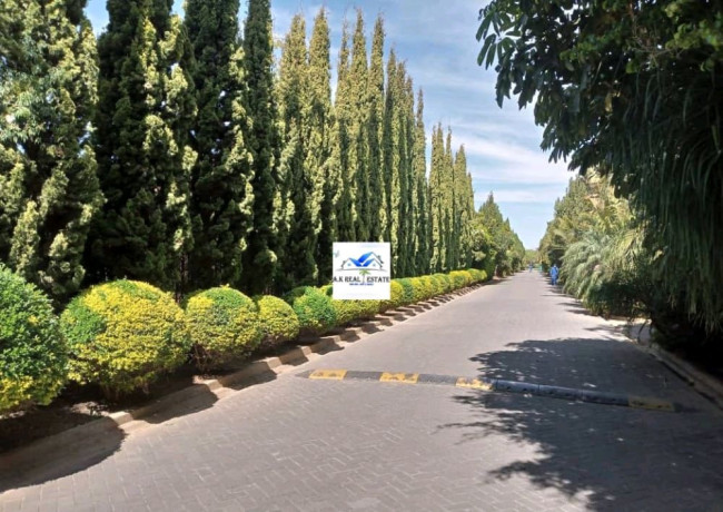 2-bedroom-stand-alone-house-for-rent-in-green-park-big-3