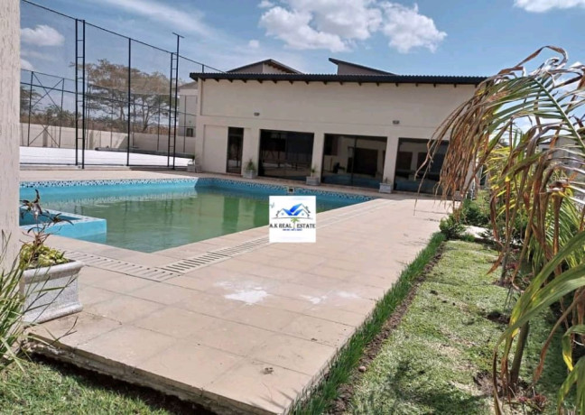 two-fully-semi-detached-duplex-flats-for-rent-in-lilayi-big-4