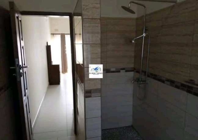 executive-3-bedroomed-fully-furnished-apartment-for-rent-near-east-park-mall-big-6