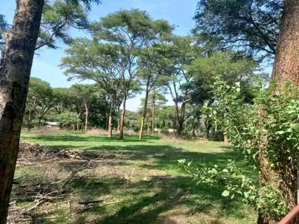 56-acres-land-with-houses-for-sale-in-eureka-big-1