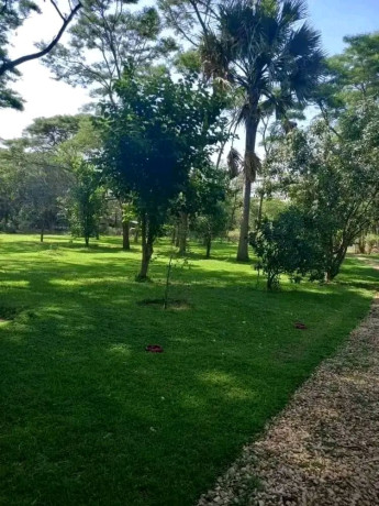 56-acres-land-with-houses-for-sale-in-eureka-big-6