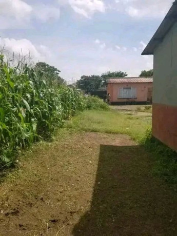 kamwala-madras-property-for-sale-big-7