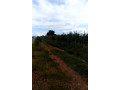 5-acres-road-front-land-for-sale-small-0