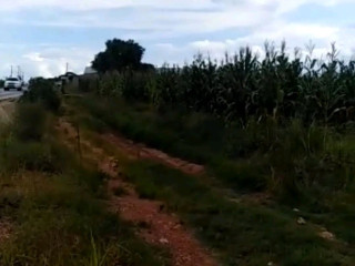 5-acres-road-front-land-for-sale