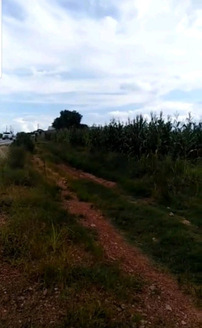 5-acres-road-front-land-for-sale-big-0