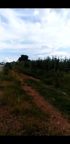 5-acres-road-front-land-for-sale-big-1