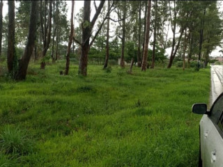 85-hectares-of-land-in-salama-park