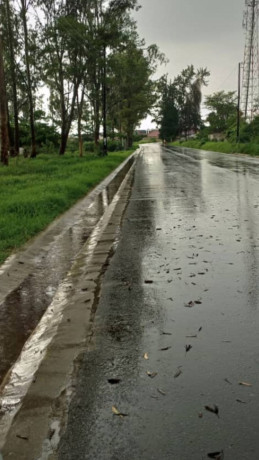 85-hectares-of-land-in-salama-park-big-2