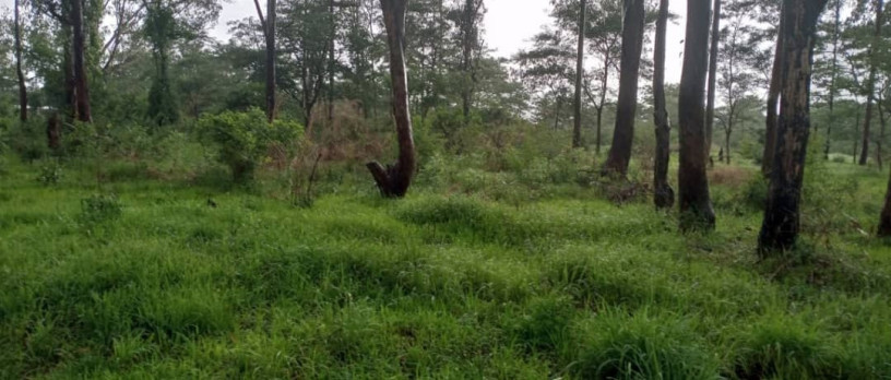 85-hectares-of-land-in-salama-park-big-1