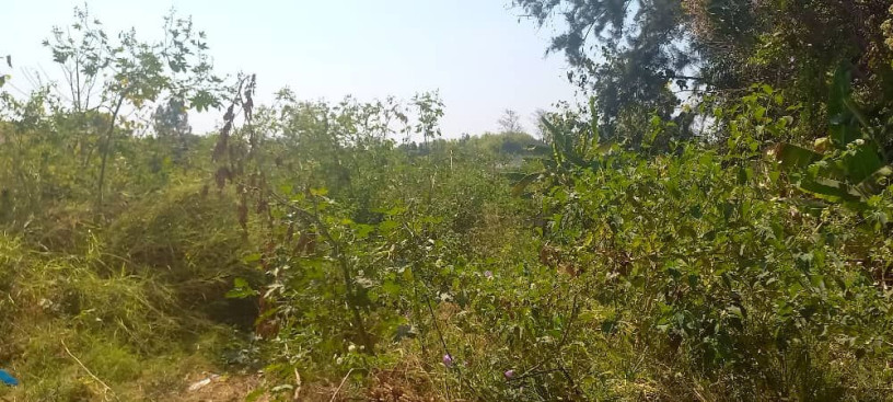 plot-for-sale-in-chudleigh-big-2