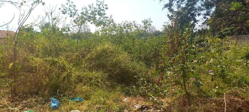 plot-for-sale-in-chudleigh-big-4