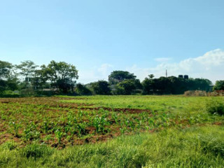 5-acres-for-sale-in-ibex-hill