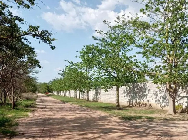 new-site-in-state-lodge-big-1