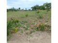plots-for-sale-in-chilanga-mt-makulu-small-1