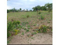 plots-for-sale-in-chilanga-mt-makulu-small-0