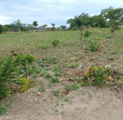 plots-for-sale-in-chilanga-mt-makulu-big-1