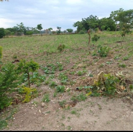 plots-for-sale-in-chilanga-mt-makulu-big-0