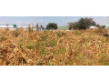 quick-sale-lusaka-south-plot-small-0