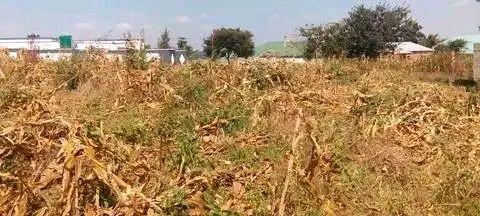 quick-sale-lusaka-south-plot-big-0