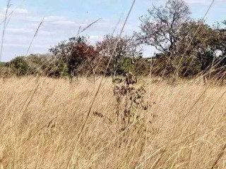 residential-plots-in-kabangwe