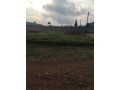 titled-plot-for-sale-in-lilayis-old-air-strip-area-small-1