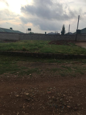 titled-plot-for-sale-in-lilayis-old-air-strip-area-big-1