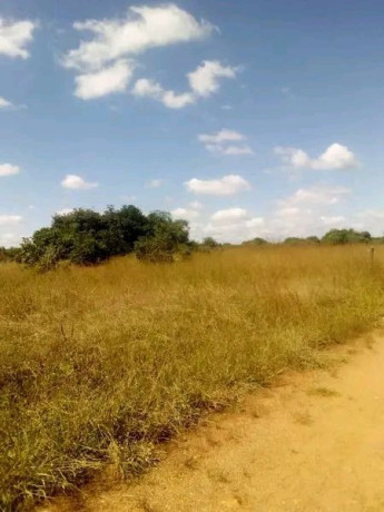 spacious-plot-for-sale-big-0